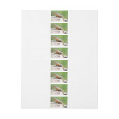 Plutschechse (Bogen)