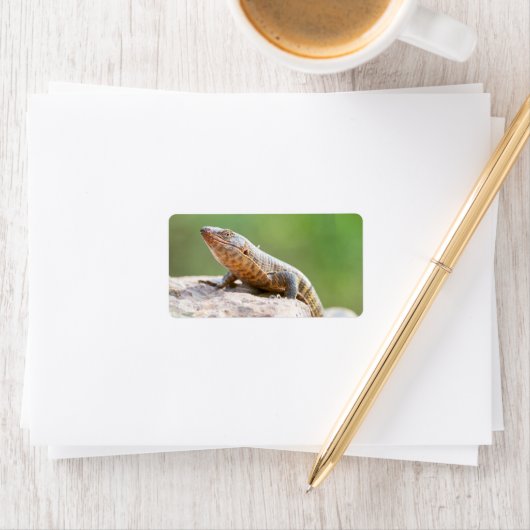 Plutschechse Adressaufkleber (Insitu)