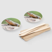 Plutschechse Fächer (Non-assembled)