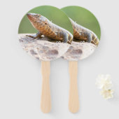 Plutschechse Fächer (Vorne und Hinten)