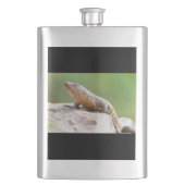 Plutschechse Flachmann (Vorderseite)