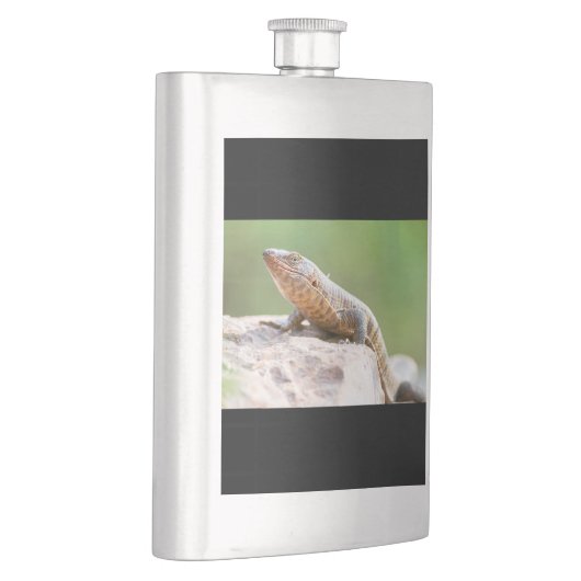 Plutschechse Flachmann (Rechts)