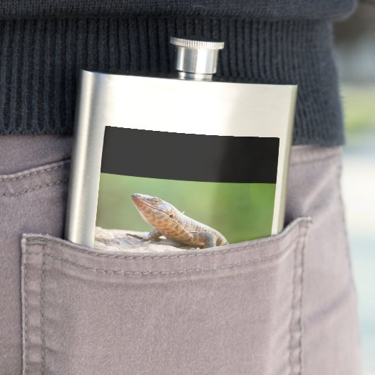 Plutschechse Flachmann (Beispiel)