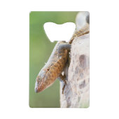 Plutschechse Geldbeutel Flaschenöffner (Vorderseite)