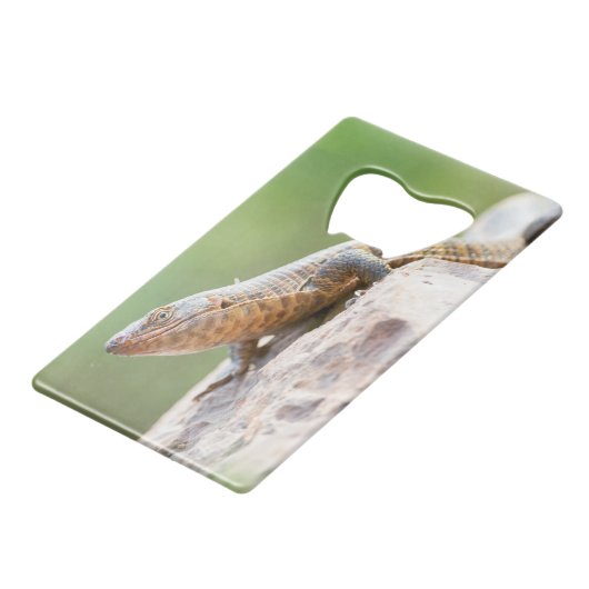 Plutschechse Geldbeutel Flaschenöffner (Rückseite Schrägansicht)