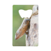 Plutschechse Geldbeutel Flaschenöffner (Rückseite)