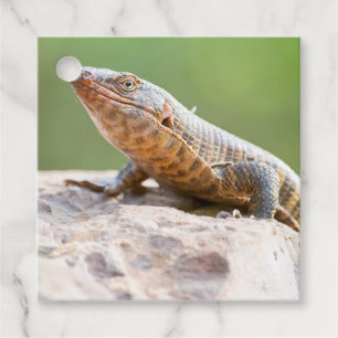 Plutschechse Geschenkanhänger