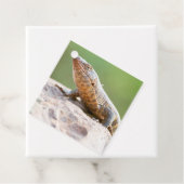 Plutschechse Geschenkanhänger (Beispiel)