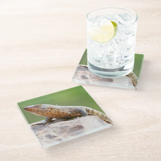 Plutschechse Glasuntersetzer (Schrägansicht)