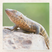 Plutschechse Glasuntersetzer (Vorderseite)