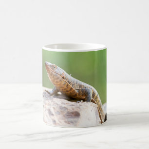 Plutschechse Kaffeetasse