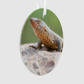 Plutschechse Ornament (Vorderseite)