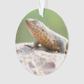 Plutschechse Ornament (Vorderseite)