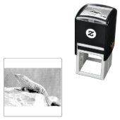 Plutschechse Permastempel (Beispiel)