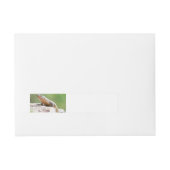 Plutschechse Rundum-Adressaufkleber (Vorderseite)