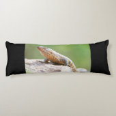 Plutschechse Seitenschläferkissen (Rückseite)