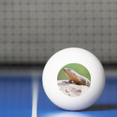 Plutschechse Tischtennisball (Netto)