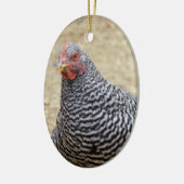 Plymouth Barred Rock Hen Fotograf Keramik Ornament (Links)