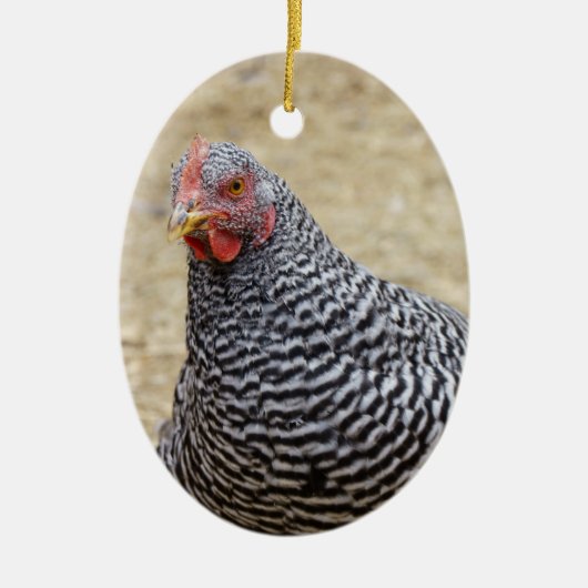 Plymouth Barred Rock Hen Fotograf Keramik Ornament (Vorne)