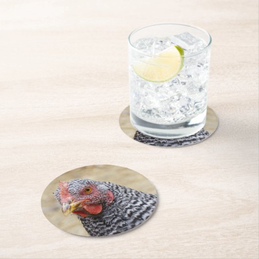 Plymouth Barred Rock Hen Fotograf Runder Pappuntersetzer (Vor Ort)