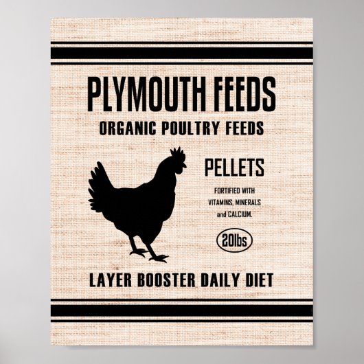 PLYMOUTH FÜTTRE POSTER (Vorne)