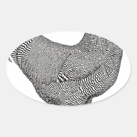 Plymouth Rock Chicken Zeichnend Ovaler Aufkleber (Vorderseite)