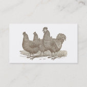 Plymouth Rock Chickens, Rooster Visitenkarte (Rückseite)