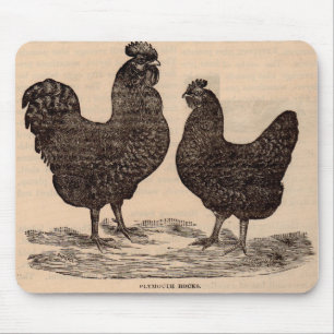Plymouth Rock Henne and Roster aus dem 19. Jahrhun Mousepad