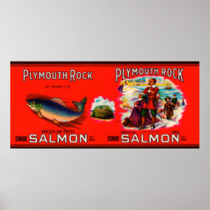 Plymouth Rock-Marken-Lachs-Aufkleber Poster