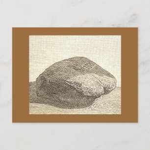 Plymouth-Rock-Postkarte Postkarte