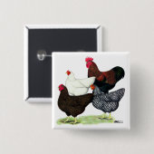 Plymouth Rock Quartett Button (Vorne & Hinten)