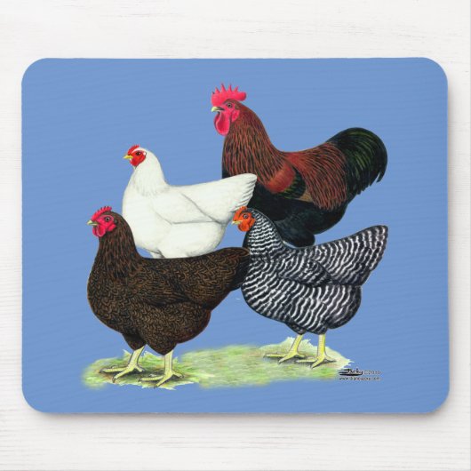Plymouth Rock Quartett Mousepad (Vorne)