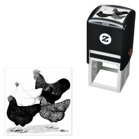 Plymouth Rock Quartett Permastempel (Beispiel)