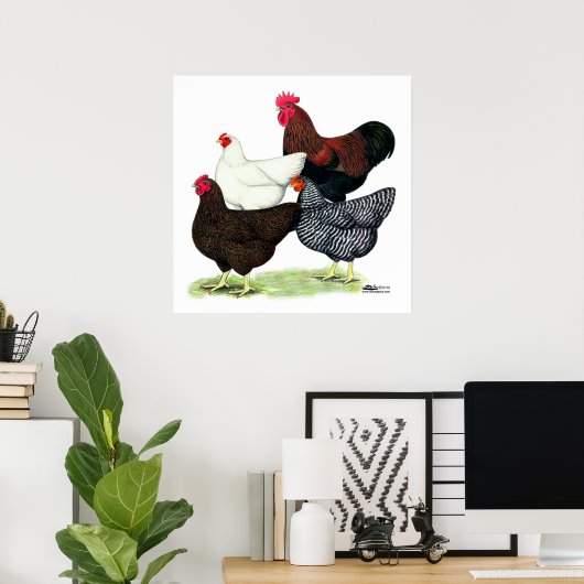 Plymouth Rock Quartett Poster (Heimbüro)