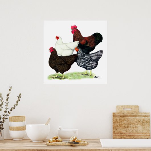 Plymouth Rock Quartett Poster (Küche)