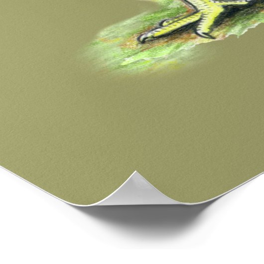 Plymouth Rock Quartett Poster (Ecke)