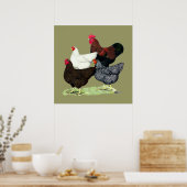 Plymouth Rock Quartett Poster (Küche)