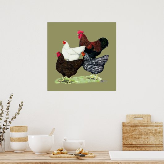 Plymouth Rock Quartett Poster (Küche)