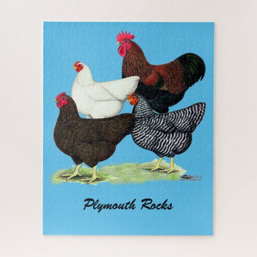 Plymouth Rock Quartett Puzzle (Vertikal)