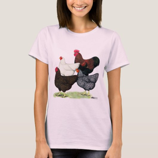 Plymouth Rock Quartett T-Shirt (Vorderseite)