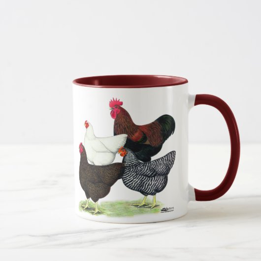 Plymouth Rock Quartett Tasse (Rechts)