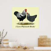 Plymouth Rock: Silbergefräßiges Paar Poster (Küche)