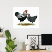 Plymouth Rock: Silbergefräßiges Paar Poster (Heimbüro)