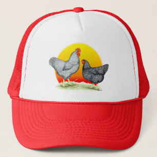 Plymouth Rocks: Sunrise Truckerkappe