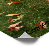 Plymouth Sport Fury Poster (Ecke)