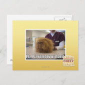 Plz remoov ur hand postkarte (Vorne/Hinten)