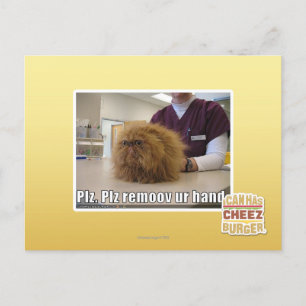 Plz remoov ur hand postkarte