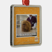 PLZ remoov ur Hand Silbernes Ornament (Rechts)