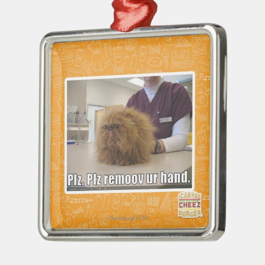 PLZ remoov ur Hand Silbernes Ornament (Links)