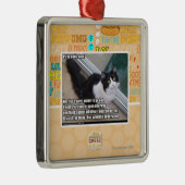 PLZ zur offenen Tür Silbernes Ornament (Rechts)